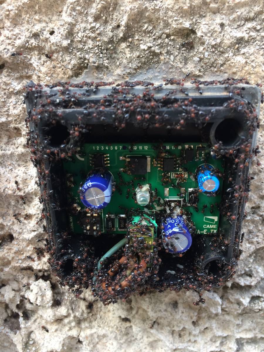 dépannage et réparation portes et portails came 13